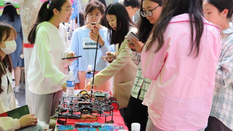 电商平台服务网格应用：架构优化与性能提升之道